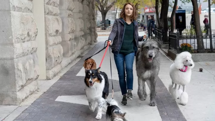 Dostumun Yolculuğu izle