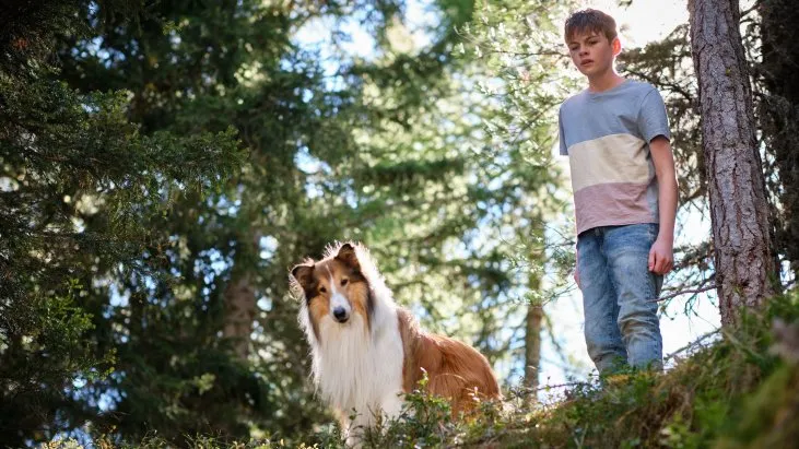 Lassie: Yepyeni Bir Macera izle