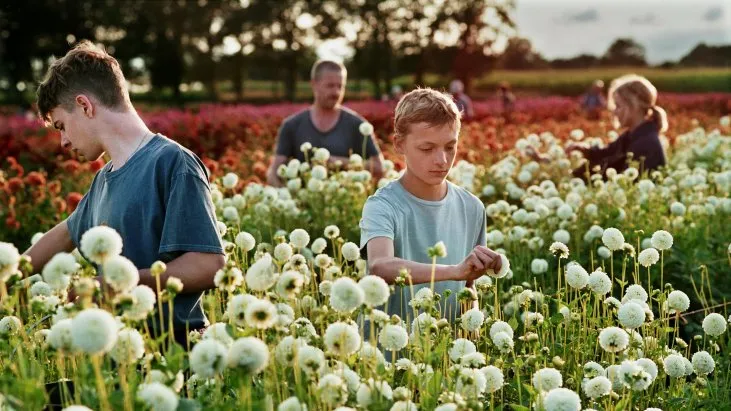 Yakın izle